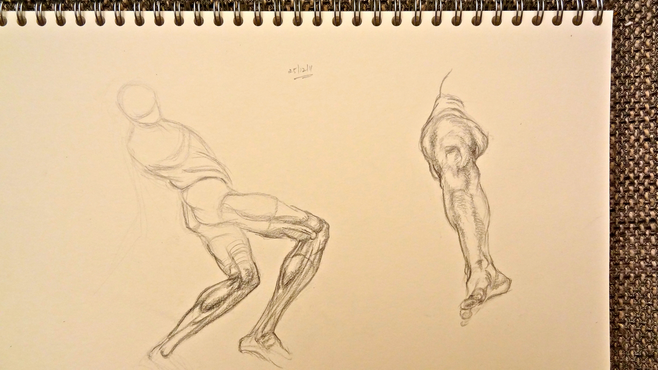 1280x720 Leg Muscles Watercolor Journal