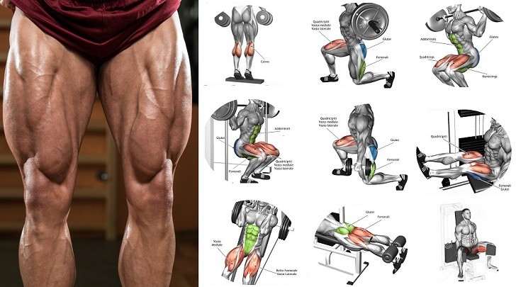728x405 Top 6 Exercises On How To Build Leg Muscle