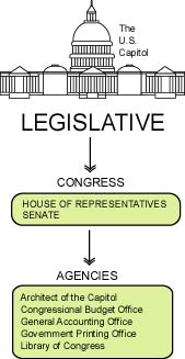 Legislative Branch Drawing at GetDrawings | Free download