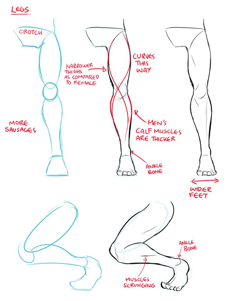 736x962 Drawn Thick 7 Legs Male 8 Pencil And In Color Body Language