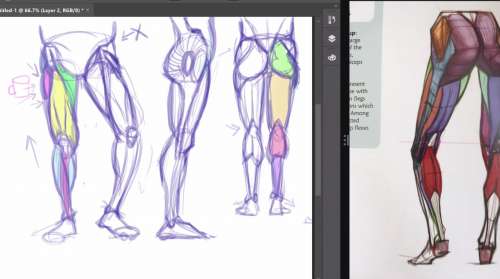 500x279 How To Draw Legs Amp Feet Hildur.k.o