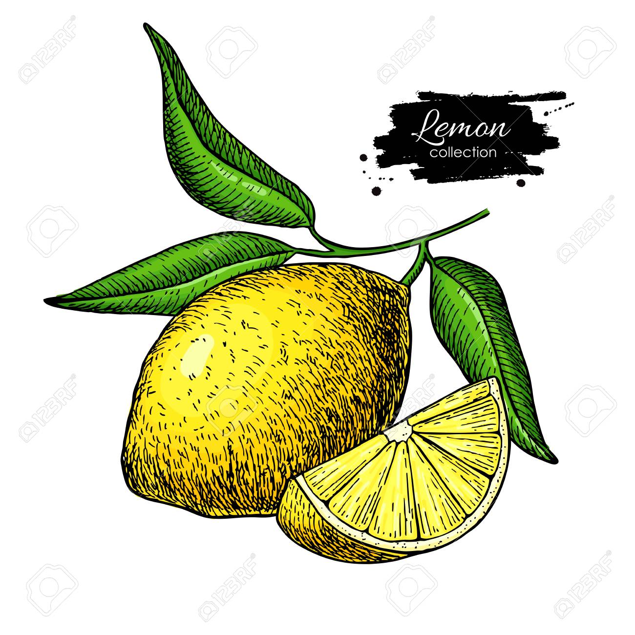 1300x1300 Lemon Drawing Royalty Free Cliparts, Vectors, And Stock