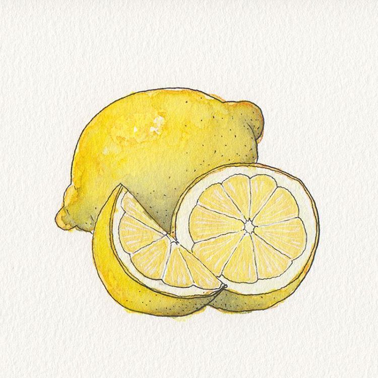 Download Lemon Sketch Drawings Gif - Sketch