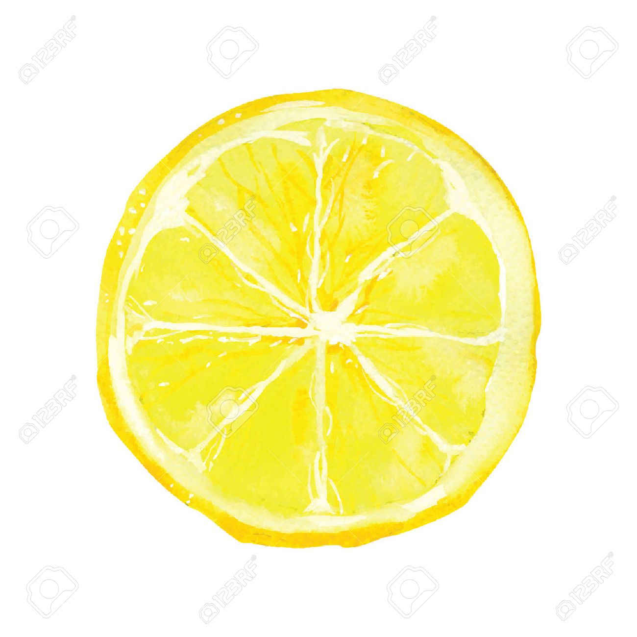 1300x1300 Slice Of Lemon Drawing By Watercolor, Hand Drawn Vector