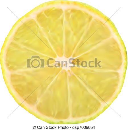 450x455 Lemon Slice Macro Perfect. Vector Illustration. Lemon Slice Eps