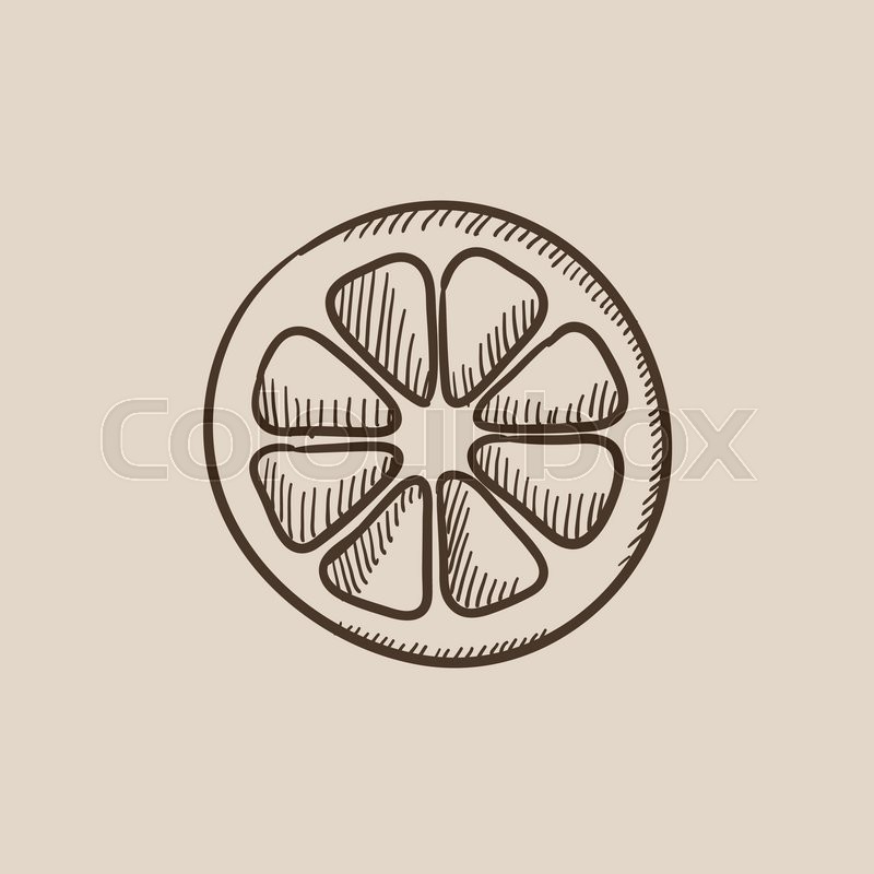 800x800 Slice Of Lemon Sketch Icon For Web, Mobile And Infographics. Hand