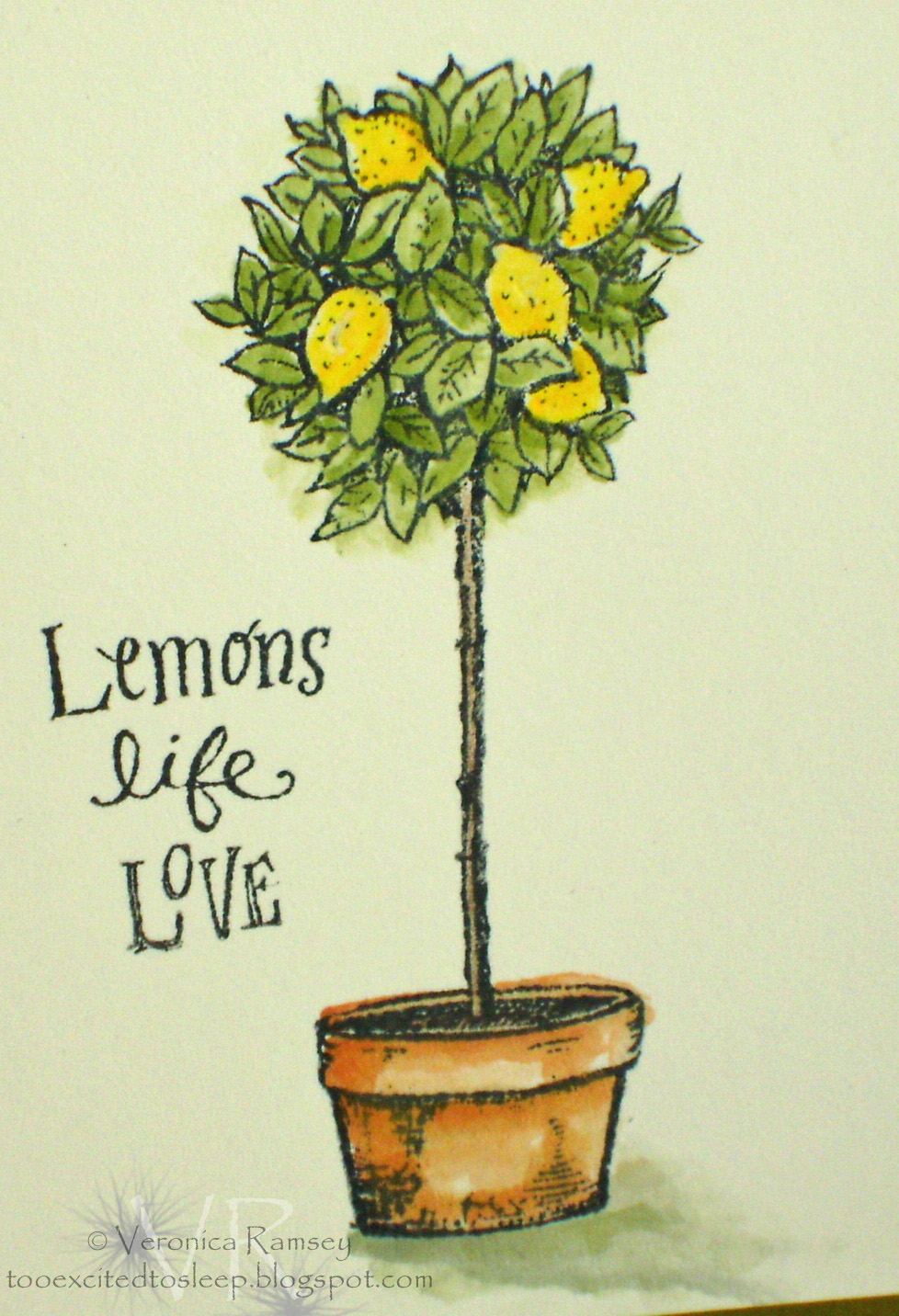 978x1432 Too Excited To Sleep Lemon Tree Tattoo. Tattoo
