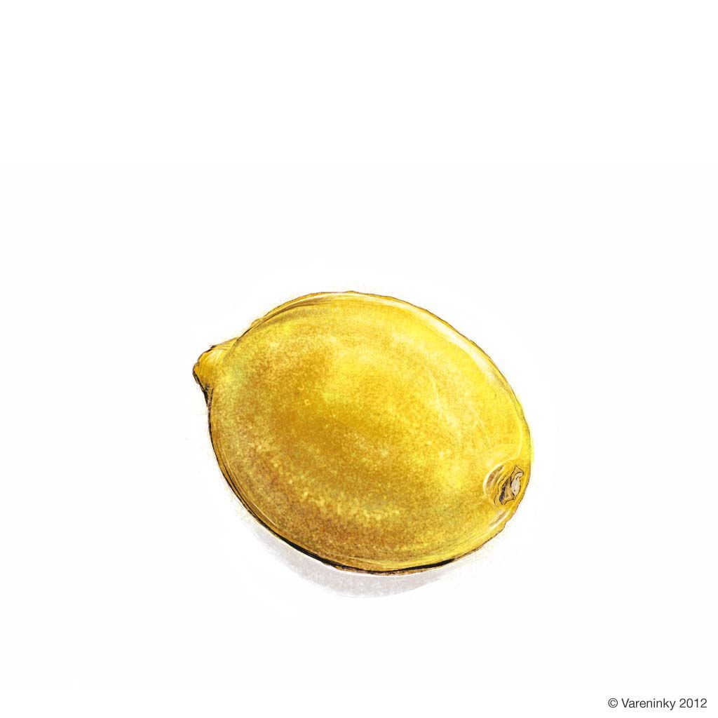 1024x1024 A Lemon Lemons Lemon, Food Illustrations