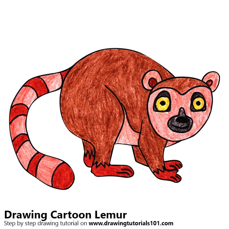 800x800 Learn How To Draw A Cartoon Lemur (Cartoon Animals) Step By Step