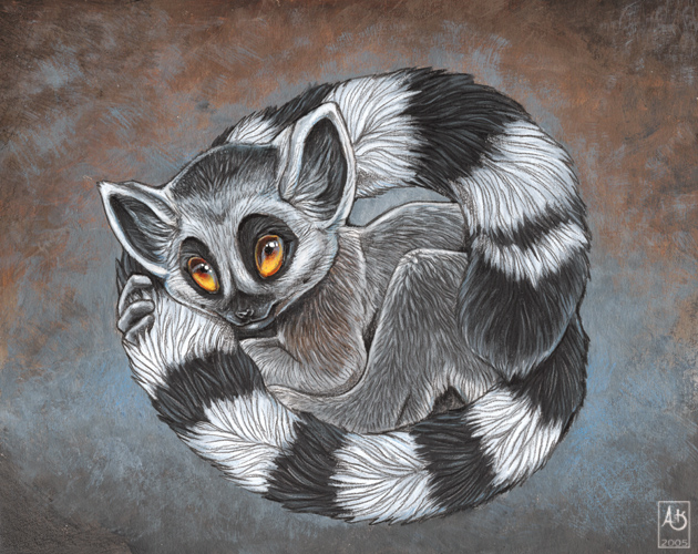 630x500 Lemur Baby By Balaa