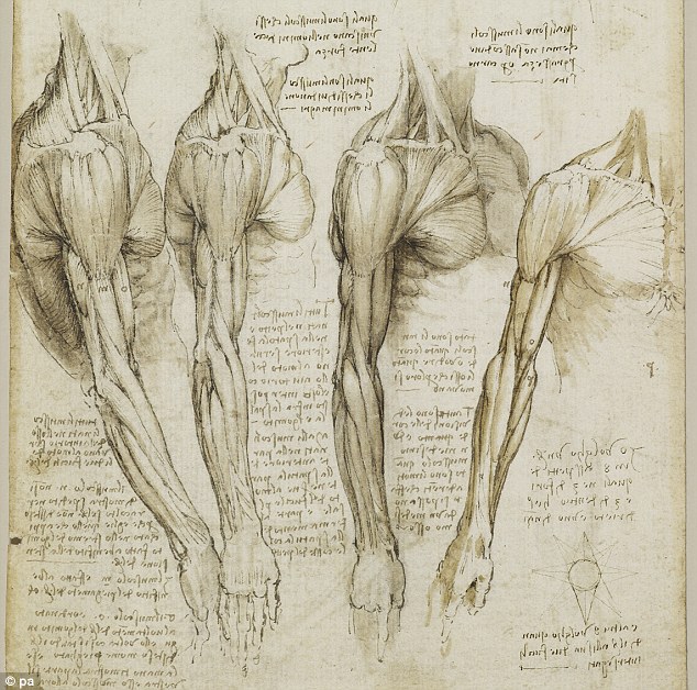634x628 Leonardo Da Vinci's Drawings 100s Of Years Ahead Of His Time
