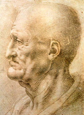272x369 Leonardo Da Vinci Old Man