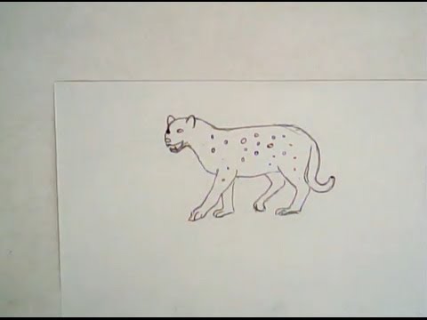 480x360 How To Draw A Leopard (Simple Drawing)