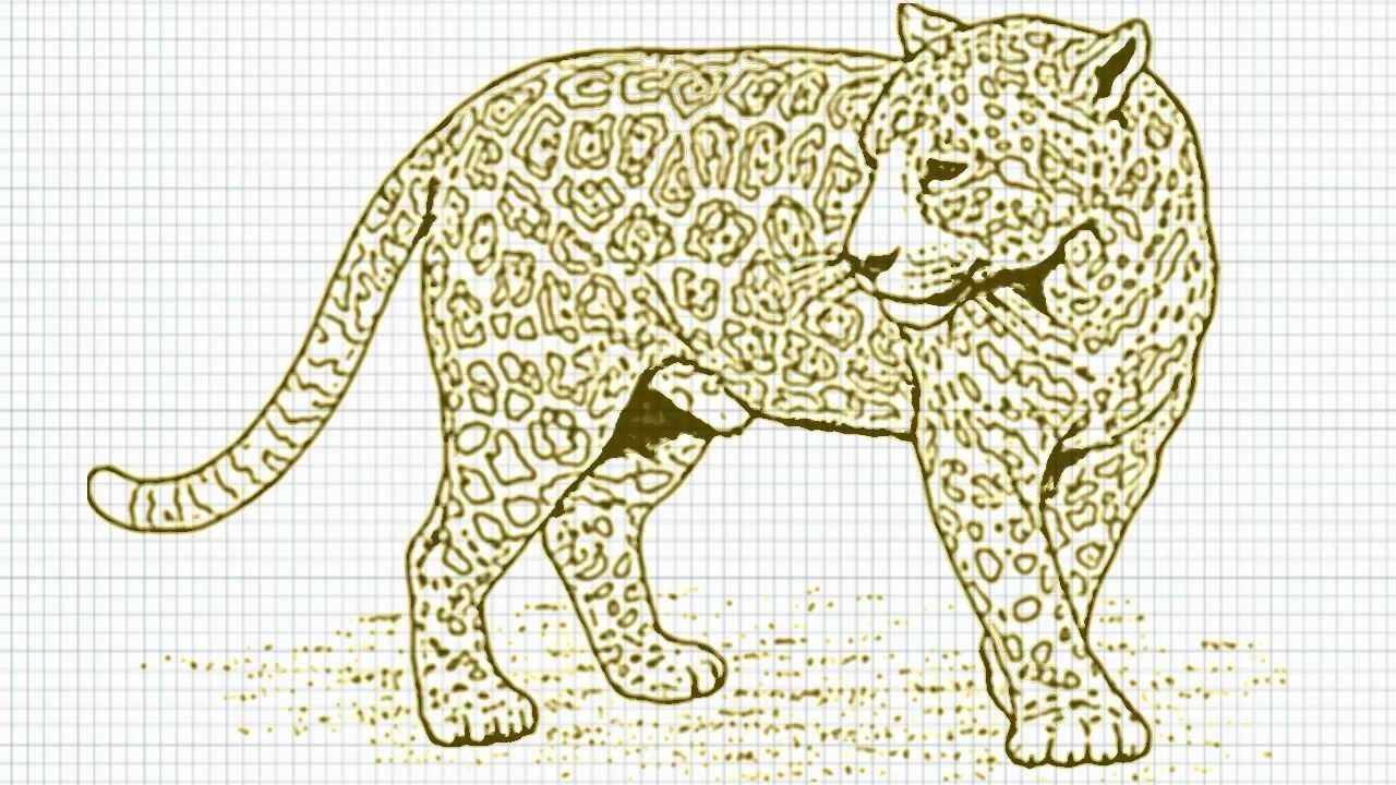 1280x720 How To Draw A Leopard