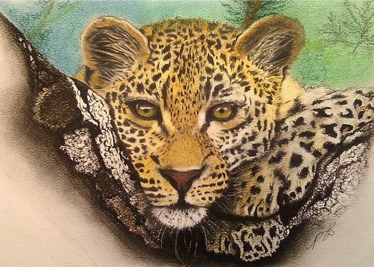 770x550 Saatchi Art Leopard In A Tree I Drawing By Paula Steffensen