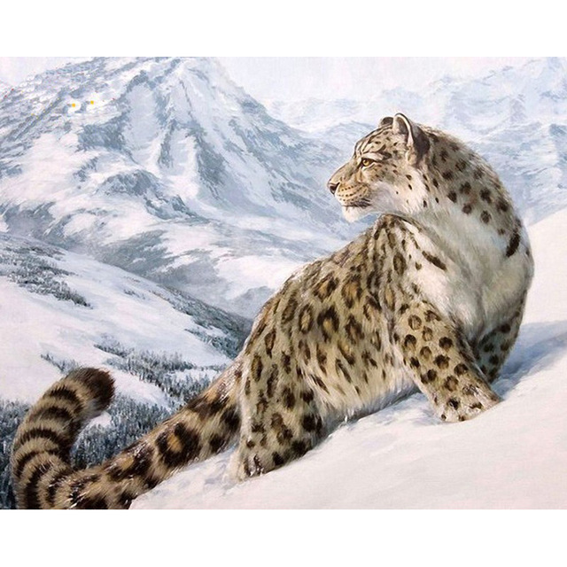 640x640 Unframed Snow Leopard Animals Diy Digital Painting By Numbers Kits