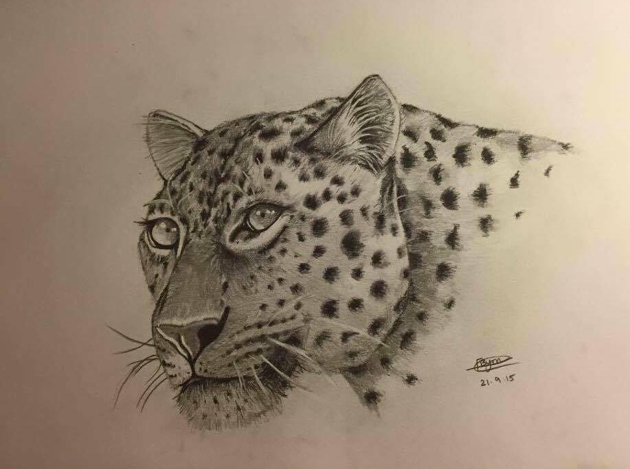 917x683 Leopard Face Fern Art