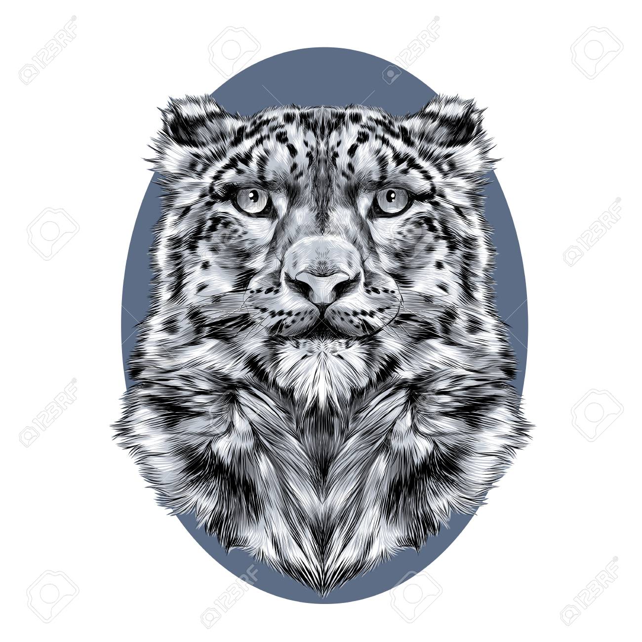 1300x1300 The Head Of The Snow Leopard, Full Face, Symmetry, Black
