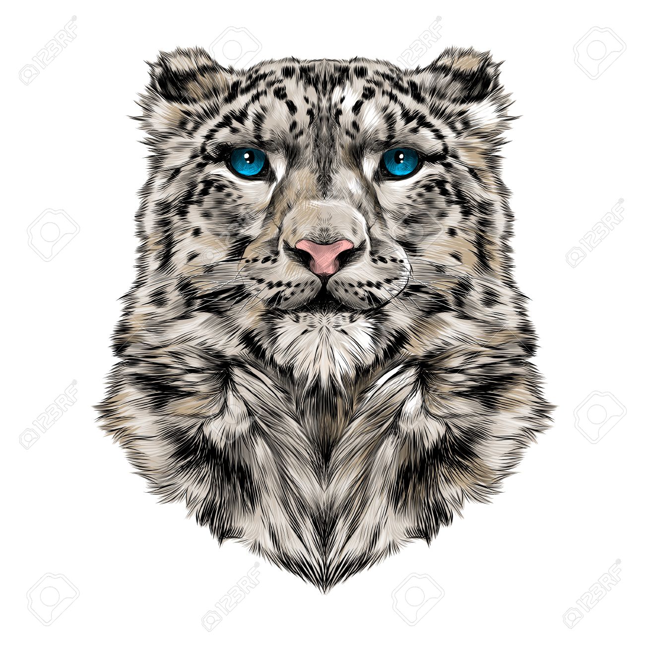 1300x1300 The Head Of The Snow Leopard, Full Face, Symmetry, Color Drawing