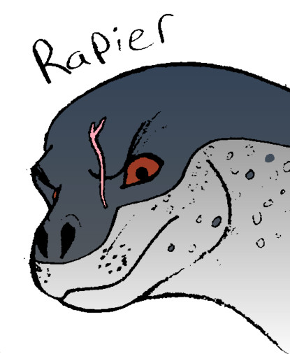 415x506 Rapier The Leopard Seal By The Ravens Of Moraea