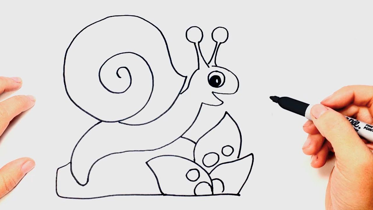 1280x720 How To Draw A Snail Step By Step Snail Drawing Lesson