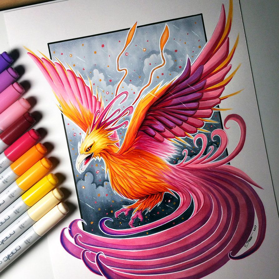 894x894 Phoenix Drawing By Lethalchris Sketchingcoloring