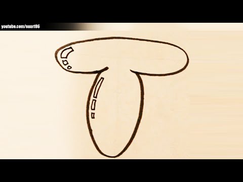480x360 How To Draw Bubble Letter T