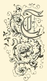 167x283 Vintage Letter T Drawing