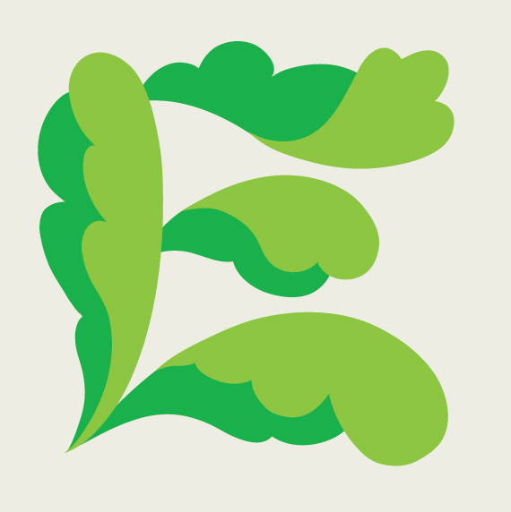 570x572 Richard Hogg Lettuce