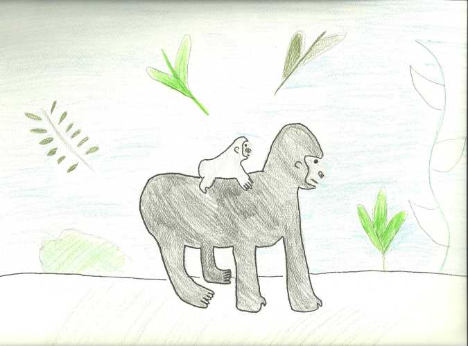 675x500 Sfslsprojects Gorilla Family And Life Cycle