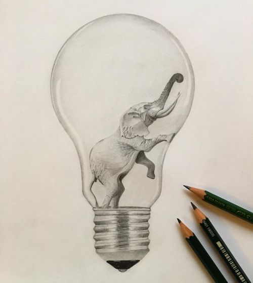 500x559 With Drawings Of Different Animals In Every Light Bulb. Art