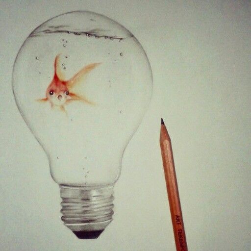 512x512 Fish In Light Bulb, Drawing ~fleur De Vree Drawing Inspiration