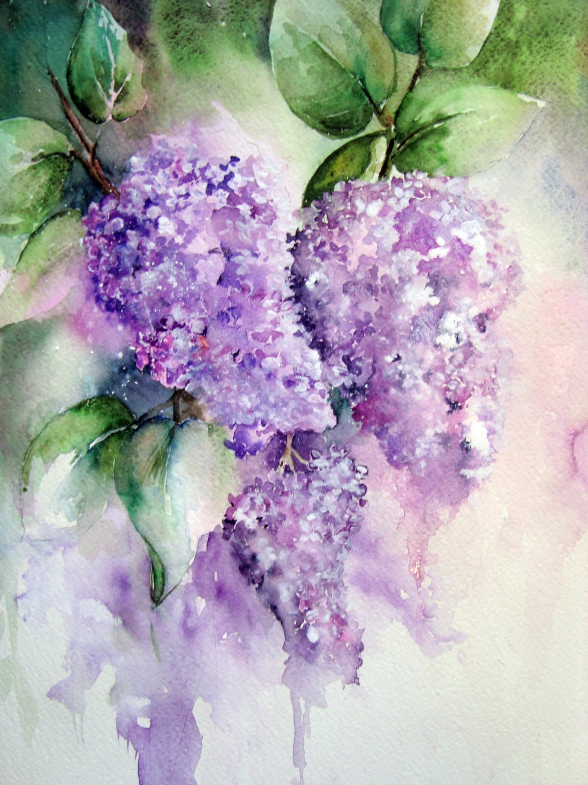 1200x1600 Watercolour Florals Lilac Blossom