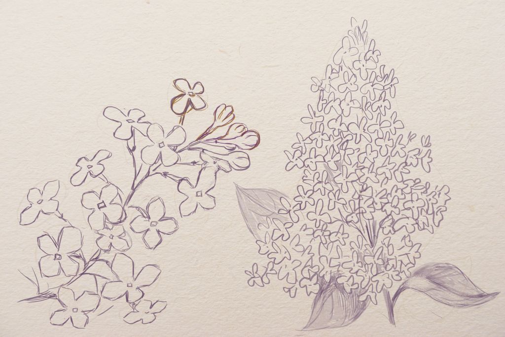 1024x683 Siren Vetka3.jpg