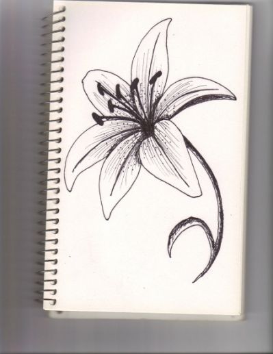 399x517 Lily Flower By Lyddy666 Traditional Art