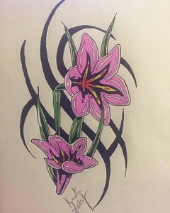 240x300 Lilly Drawings