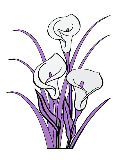 413x550 Image Of Calla Lily Clipart