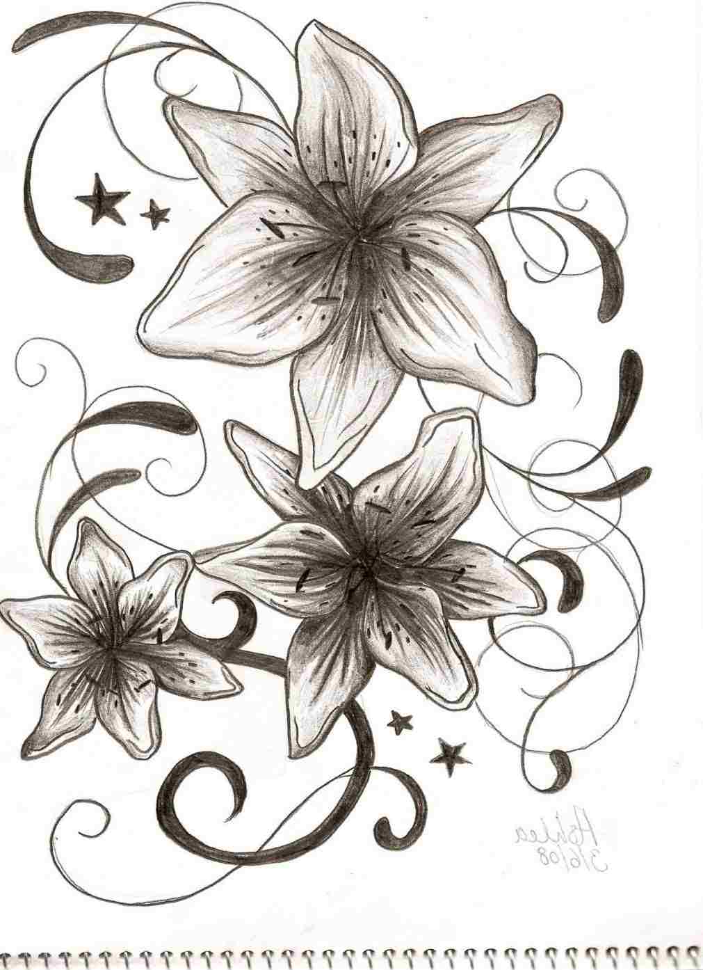 1011x1394 Lily Flower Drawing Tattoo