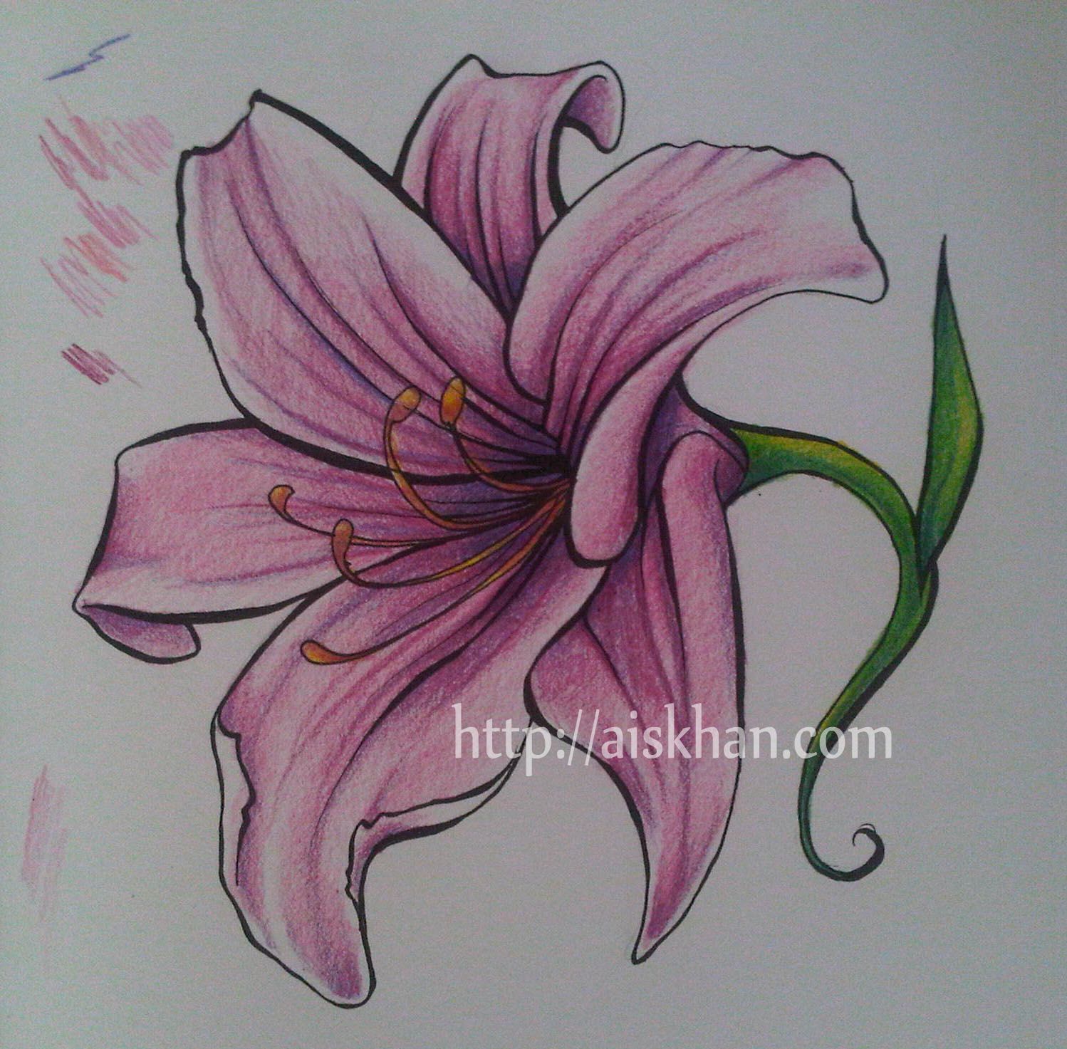 Lily Flower Tattoo Drawing at GetDrawings Free download