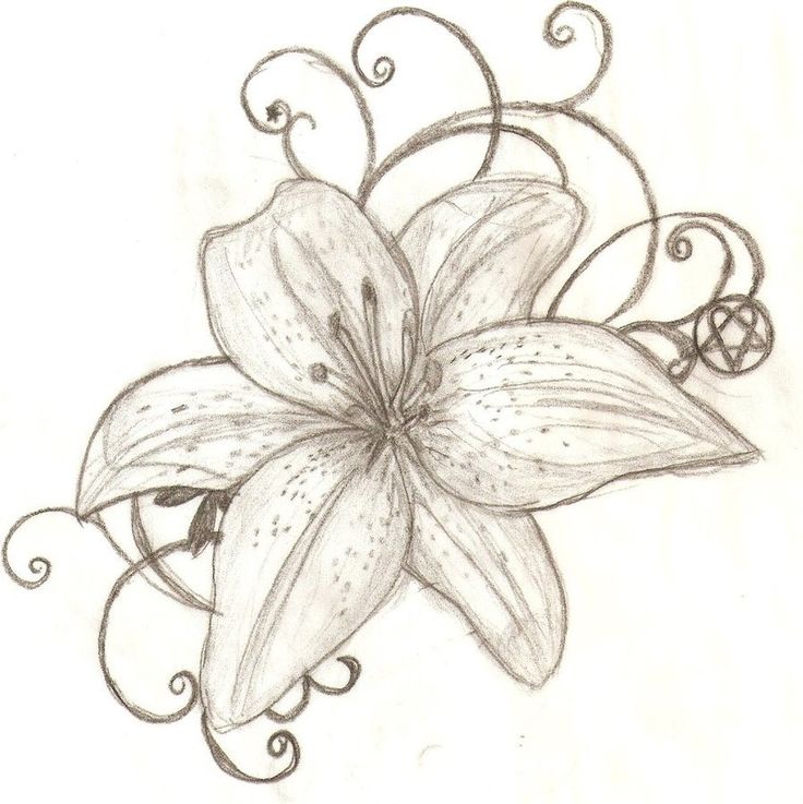 736x737 Lily Tattoos Ideas With Meaning