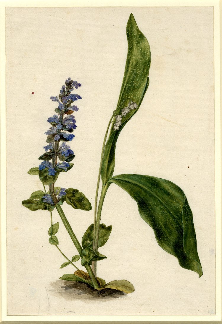 750x1097 British Museum