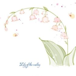 250x250 Lily Drawing, Pencil, Sketch, Colorful, Realistic Art Images