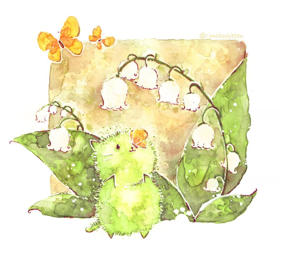 900x818 Lily Of The Valley By On @