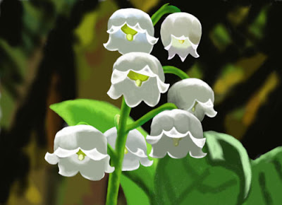 400x290 Shells Daily Drawing Daily Drawing Prompt