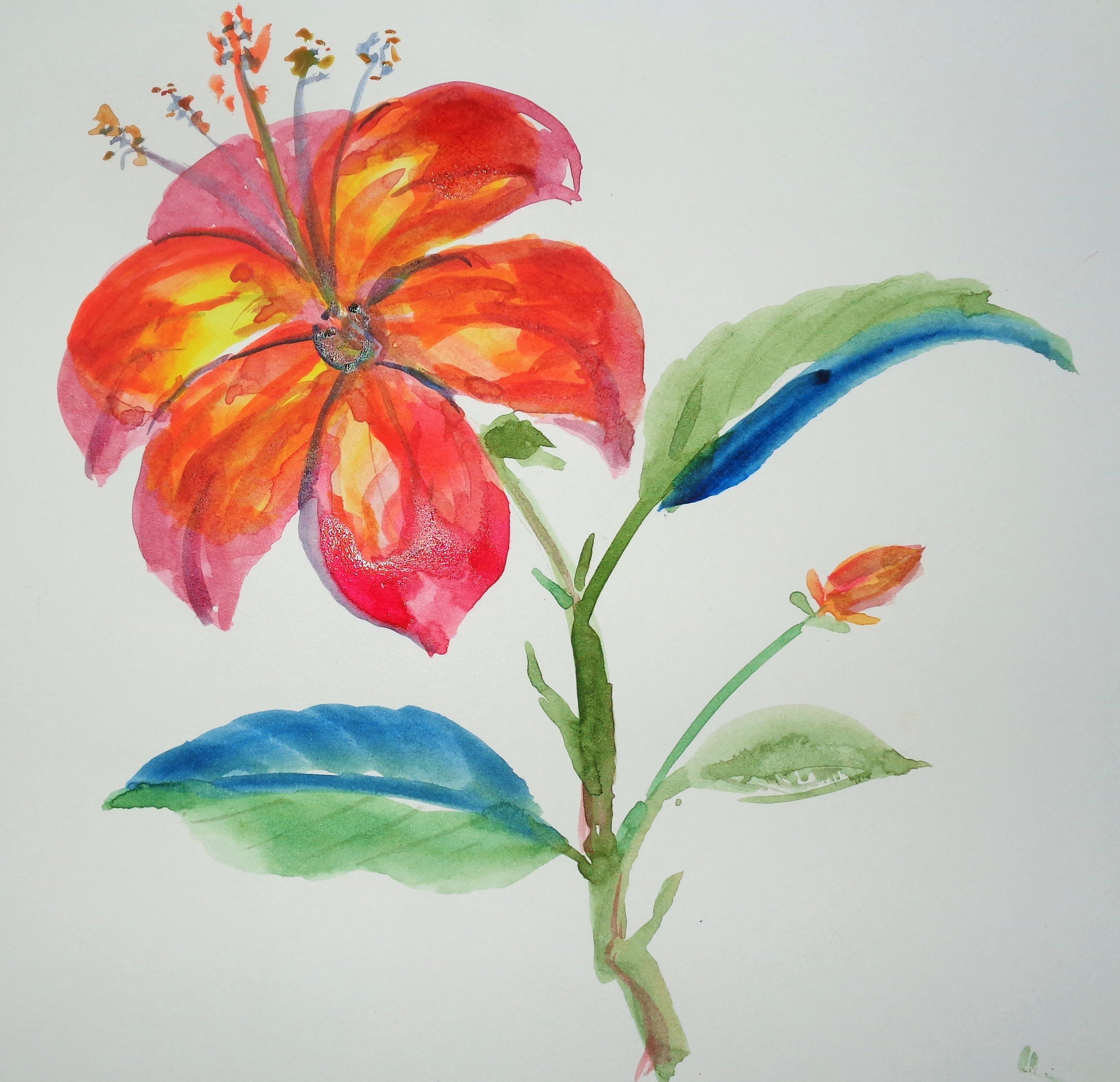 2920x2820 Lily Pad Flower Drawing Archives