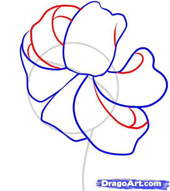 546x612 How To Draw A Tiger Lily Step 3 Writing Drawing