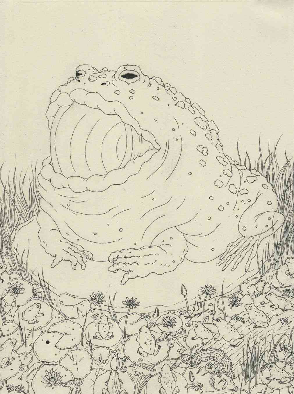 1011x1357 Lily Pad Drawing Tumblr Bdarop Decors