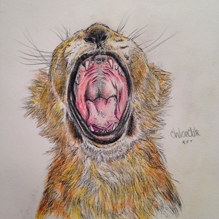 320x320 Lioncub Drawings On Paigeeworld. Pictures Of Lioncub