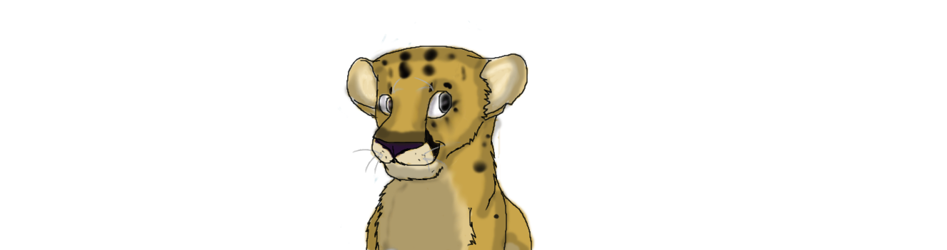 1326x351 Mountain Lion Cub How I Draw It By Roguedoodler