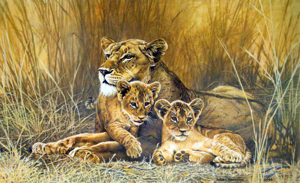 Lion And Cubs Drawing at GetDrawings | Free download